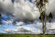 欧洲杯赛程安排：决赛将于7月11日在伦敦举行