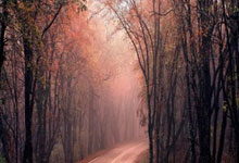 格拉纳达主场获胜，保级前景稍有改观