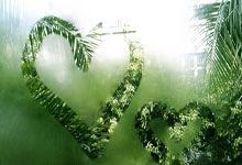 太阳队季前热身不断，备战新赛季