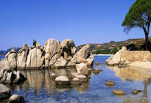 猛龙客场击败火箭，继续领跑西部